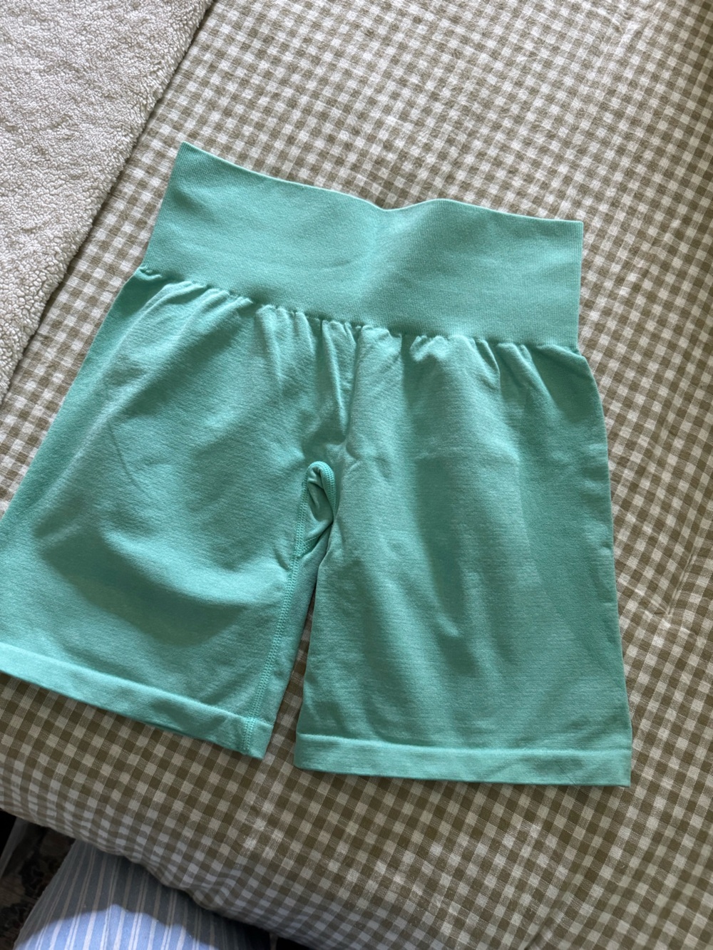 Mint Contour Seamless Shorts